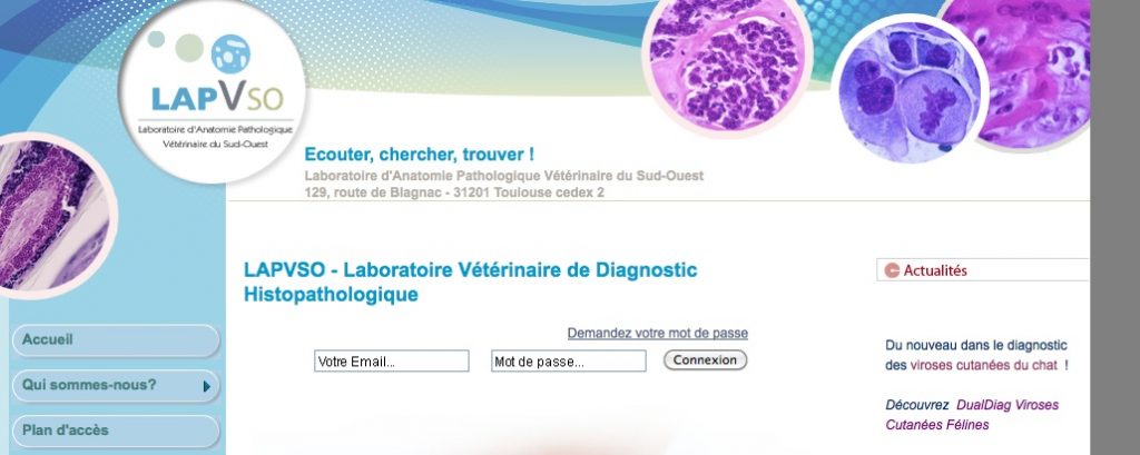 Lapvso – Laboratoire d'Anatomie Pathologique Vétérinaire du Sud